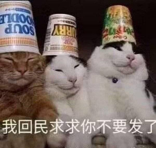#吐槽@yotsuko@fedibird.com----------------------Pockies(@yotsuko@fedibird.com) says:本来我都忍住了